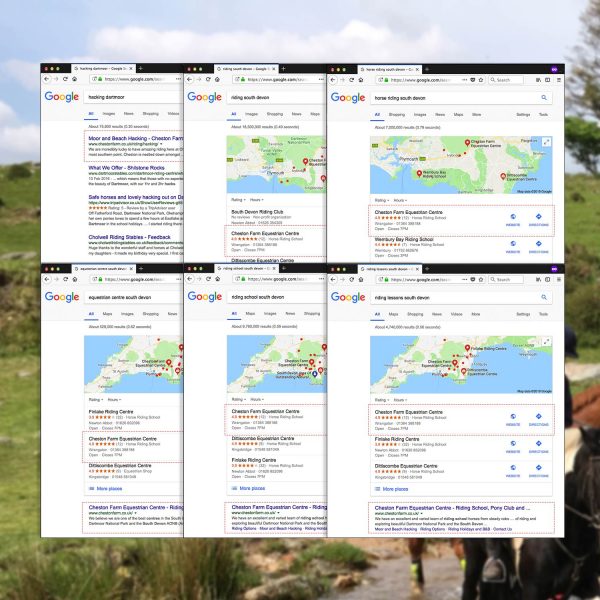 Cheston SEO Google ranks for various searches Image showing Cheston SEO Google ranks for various searches