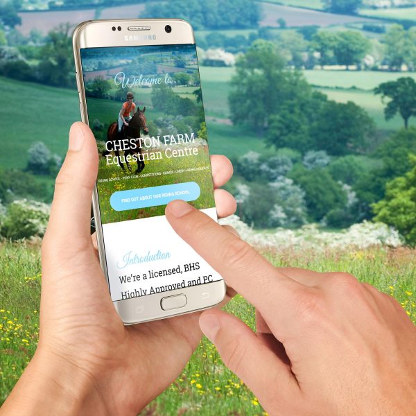 WordPress Website Screenshot